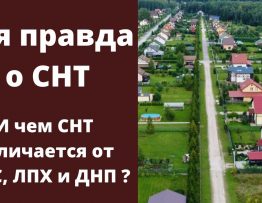 Что такое приусадебный участок и его значение