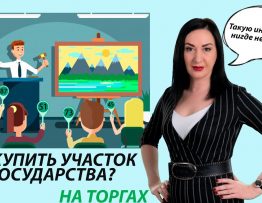 Секреты успешной покупки земельного участка с торгов