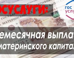 Виды выплат из материнского капитала