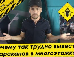 Секреты нежелательных соседей - откуда в доме появляются тараканы